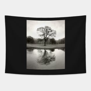 Ripple (tree reflection) Tapestry