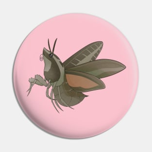 Polite Sphinx Moth Pin