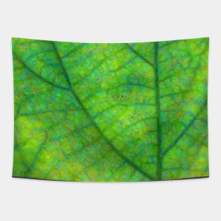 Leaf Macro Photo Painting Tapestry