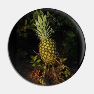 Pretty Plump Pineapple Pin, Mask, Tote Pin