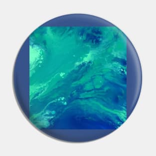 Earth Day Pin