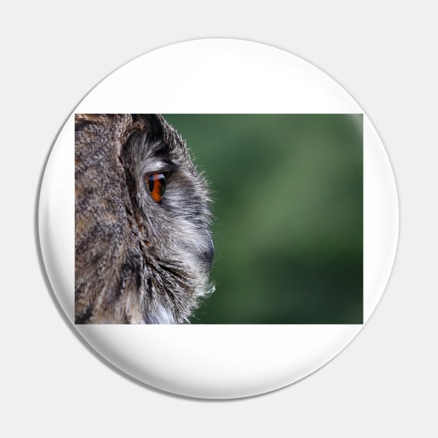 Eagle owl profile Pin by Jim Cumming