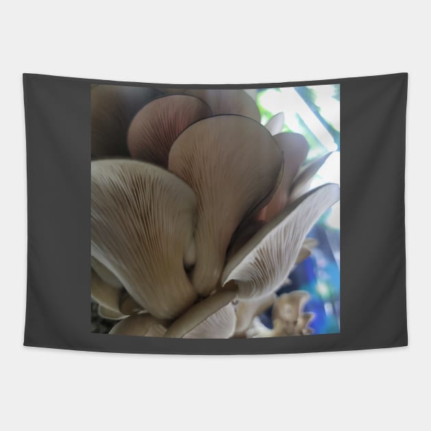 Oyster Mushroom Gills Tapestry by World Harvest