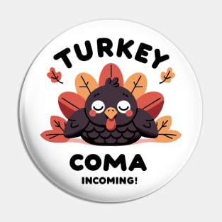 Turkey Coma Incoming! Pin