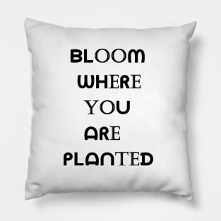 Bloom Where You Are Planted Pillow