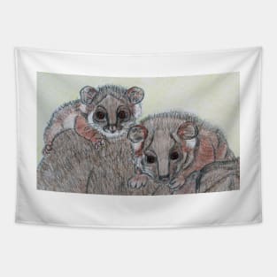 Ring-tailed possum babies Tapestry