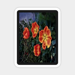 Magic flowers Magnet