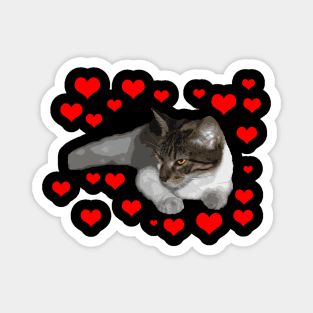 i love my cat Magnet