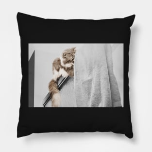 Curious Cat Pillow