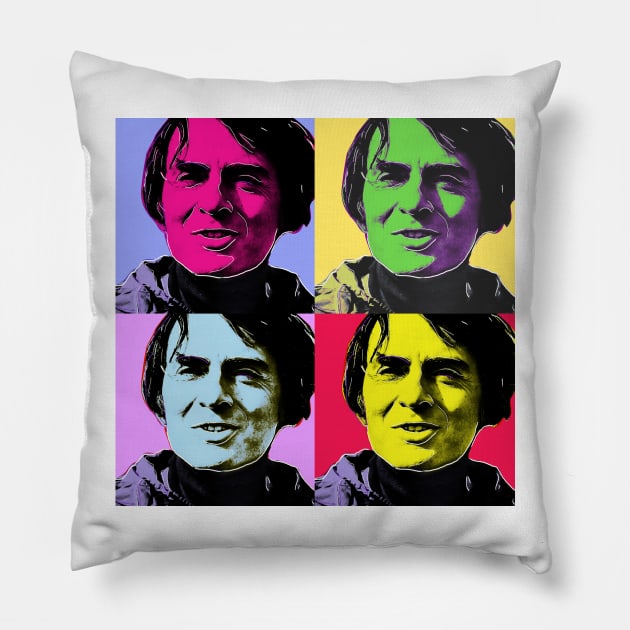 Sagan & Warhol Pillow by timwiencek