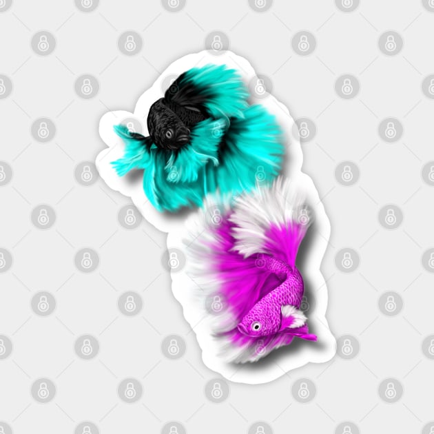 Betta Fish Duo, black & teal, white & pink Magnet by H. R. Sinclair