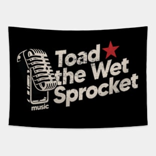 Toad The Wet Sprocket / Vintage Tapestry