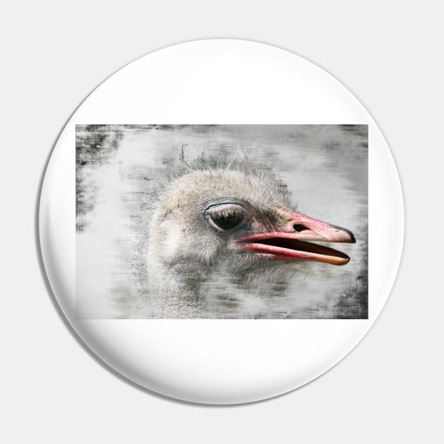 ostrich head - 02 Pin by hottehue