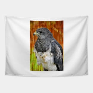 Chilean Eagle Black Chested Buzzard Tapestry