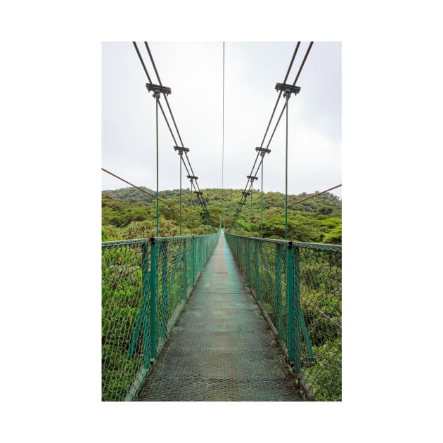 Suspension bridge in rainforest by Juhku