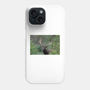 Nature's Royalty Phone Case