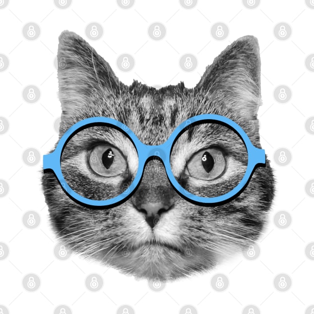 Cute hipster cat wearing big blue eyeglasses by Purrfect