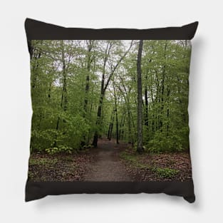 In The Spring Forest Pillow