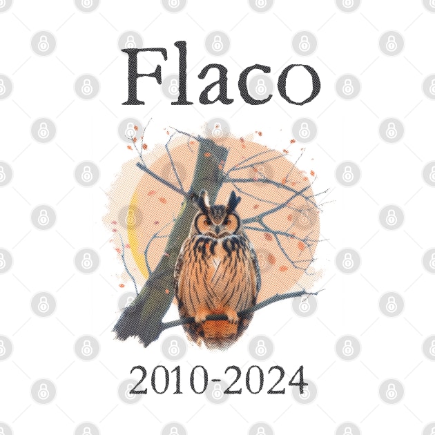 Flaco 2010-2024 by WickedAngel