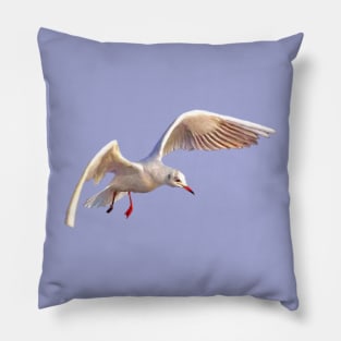 Seagull Pillow