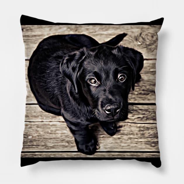 Wow! What A Beautiful Black Puppy Dog Pillow by cameradog