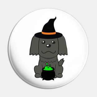 Cute black dog is a witch Pin