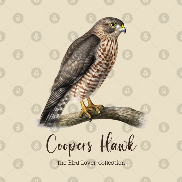 Coopers Hawk - The Bird Lover Collection by goodoldvintage