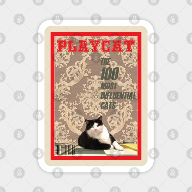 Playcat Magnet by TenomonMalke