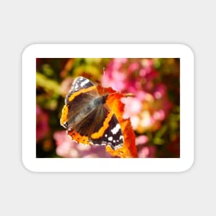 Red Admiral Butterfly Magnet