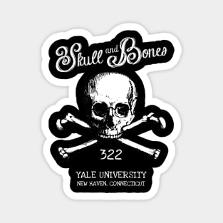 Skull And Bones Inspired Design Magnet