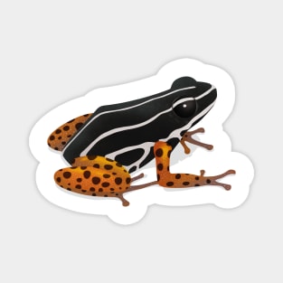 Rio Madeira poison frog Magnet