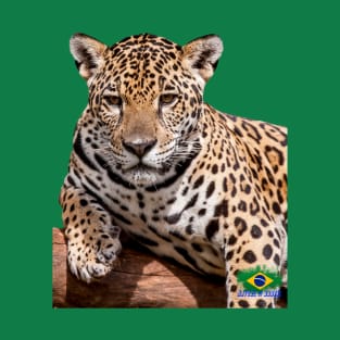 Onça pintada, Jaguar T-Shirt