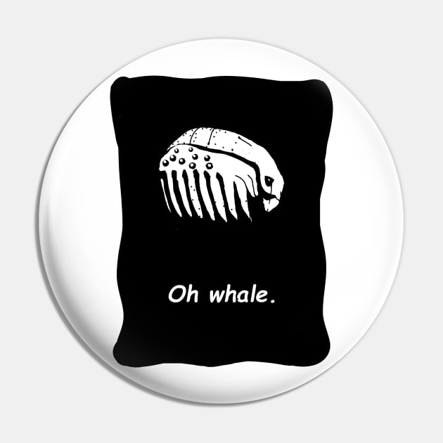 Oh whale. Pin by Jason Bentley