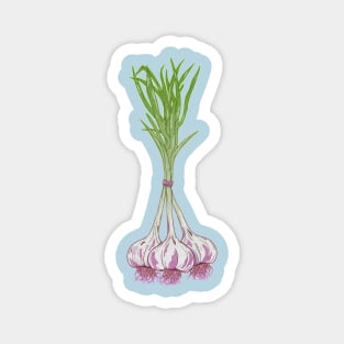 Garlic plants Magnet