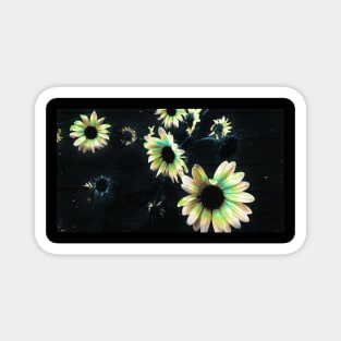 Sunflower Galaxy Magnet