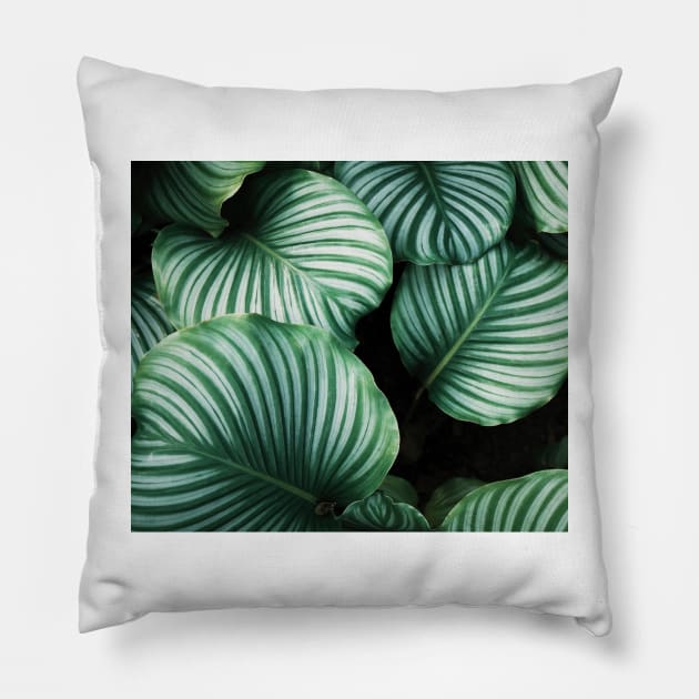 Luscious ferns II Pillow by RoseAesthetic