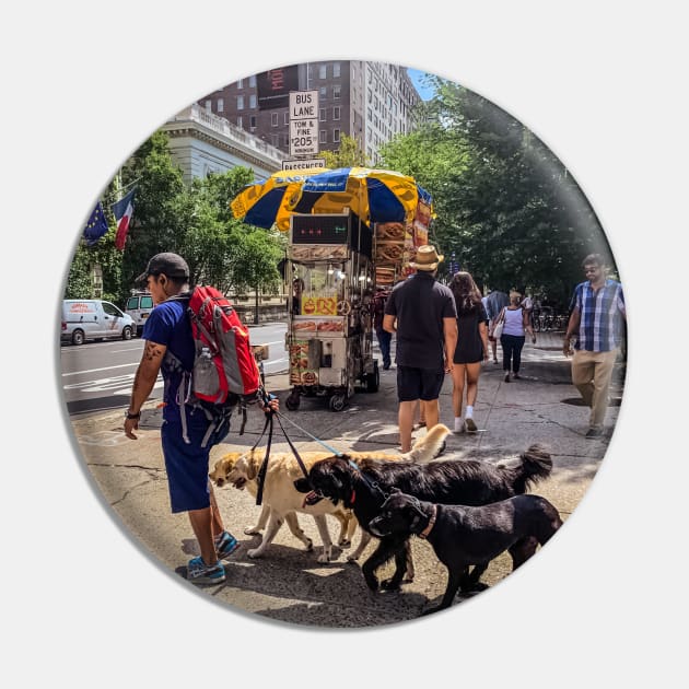 Dog Sitter, Central Park, Manhattan, New York City Pin by eleonoraingrid