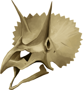 Triceratops Skull Magnet
