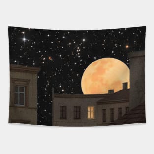 Night Tapestry