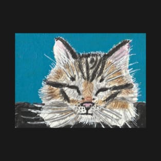 Tabby cat face T-Shirt