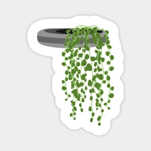 String of pearls Magnet