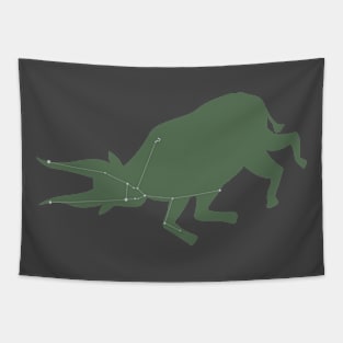 Taurus minimalist Tapestry