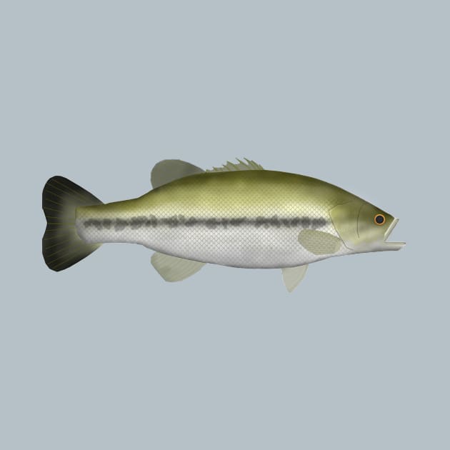 Largemouth Bass by FishFolkArt