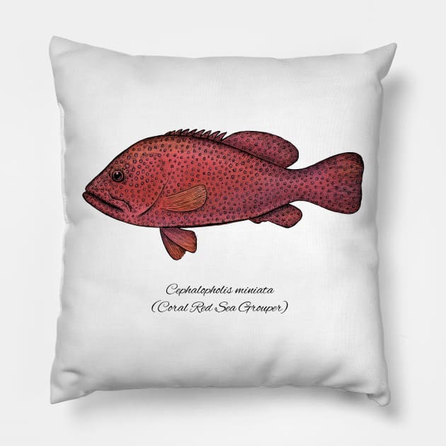 cephalopholis miniata Pillow by eugeniahauss