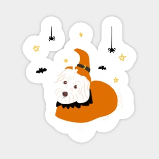 Halloween Maltipoo Dog Magnet