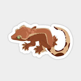 Bi-Color Crested Gecko Magnet