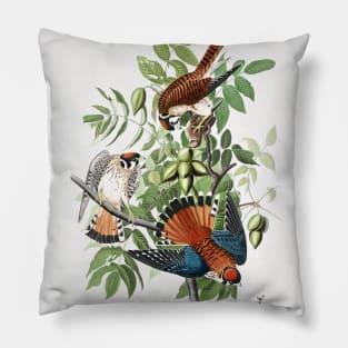 American Sparrow Hawk from Birds of America (1827) Pillow