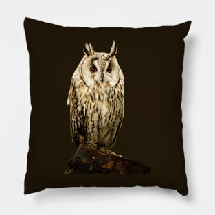 Long Eared Owl Pillow