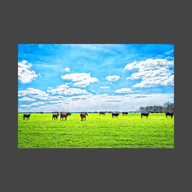 Cattle in a Pasture by Gestalt Imagery