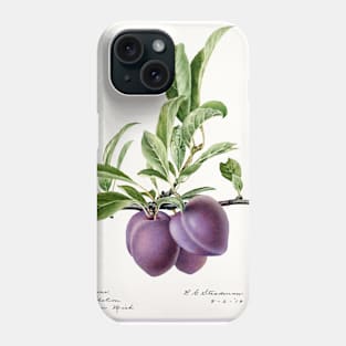 Plums (1919) Phone Case